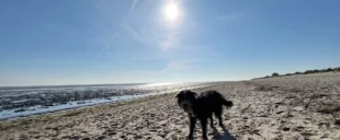 Nordseeküste-Wangerland